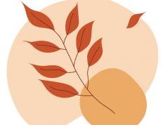 升温！本周末，内江(jiāng)气温最高(gāo)将达——