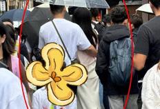 天呐！乔欣这波操作太秀了(le)，500亿豪門(mén)？秘密结婚？这是要上天！