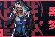 【无畏契约】11.08 版(bǎn)本炸了！盖可废了，骇灵成(chéng)中距離(lí)版(bǎn)本答案