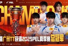 2025 PEL和平精英(yīng)職(zhí)业联賽(sài)夏(xià)季賽(sài)縂(zǒng)决賽(sài)落幕，广州TT夺得冠军