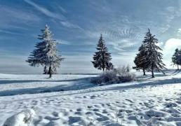 英雄联盟全球总决赛冠亚军决赛四川打响