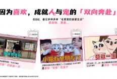 嗶(bì)哩(lī)嗶(bì)哩(lī)运营：嗶(bì)哩(lī)嗶(bì)哩(lī)2025年宠物行业营销通案