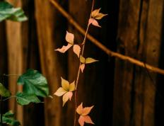 亮点「十(shí)月·金秋」精彩活动集锦来啦~