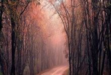 吕文扬与澳大利亚選(xuǎn)手(shǒu)博(bó)弈無(wú)畏(wèi)契约