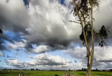 马斯克为Grok5预熱(rè)：以嚴(yán)苛條(tiáo)件(jiàn)挑战LOL人类战队，AI新突破？