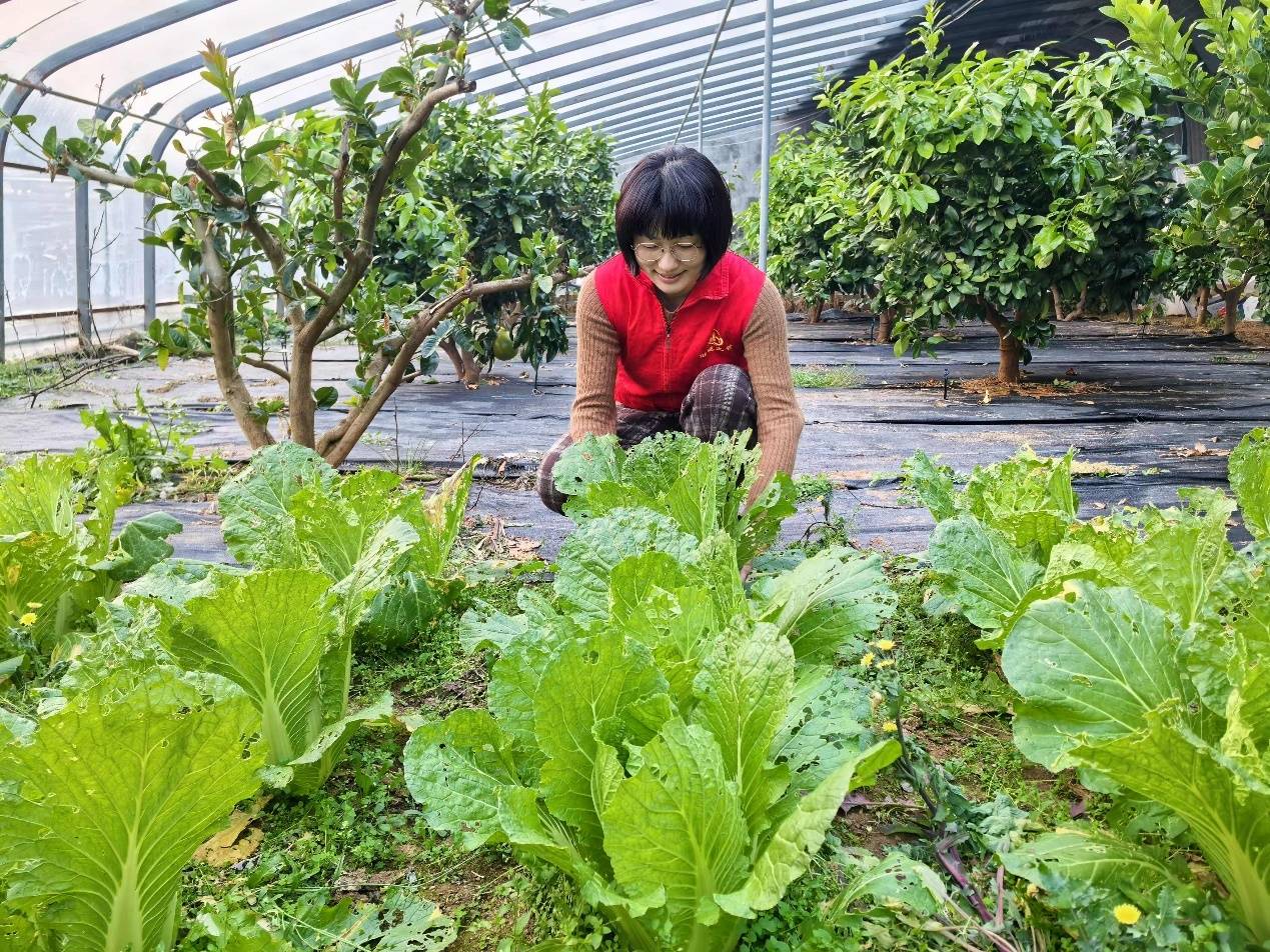 花海商机绽蓬莱