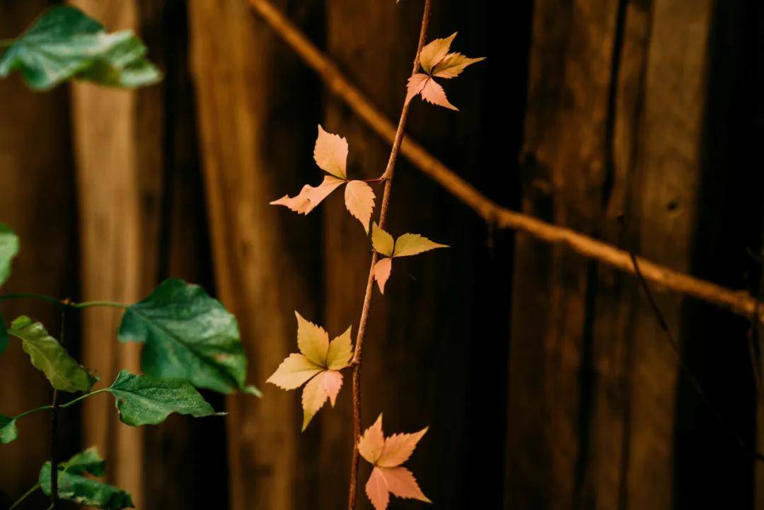 亮点「十(shí)月·金秋」精彩活动集锦来啦~